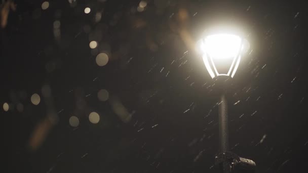 Luce di strada che brilla nella notte d'inverno buio. Lanterna della città nella neve cadente alla notte di Natale. Lampione stradale nella neve che cade nella città invernale — Video Stock