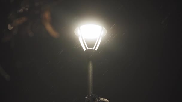 Luce di strada che brilla nella notte d'inverno buio. Lanterna della città nella neve cadente alla notte di Natale. Lampione stradale nella neve che cade nella città invernale — Video Stock