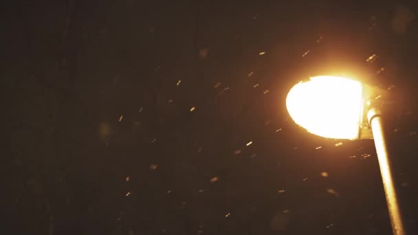 Réverbère lumineux dans la nuit d'hiver sombre. Lanterne de la ville dans la neige tombante la nuit de Noël. Réverbère dans la neige tombante à Winter City — Video