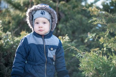 Kışın ardıç çalılarının arkasında saklambaç oynayan bir çocuk.