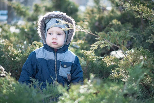 冬にかくれんぼをする子供 — ストック写真