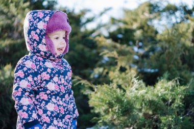 Kışın ardıç çalılarının arkasında saklambaç oynayan bir çocuk.