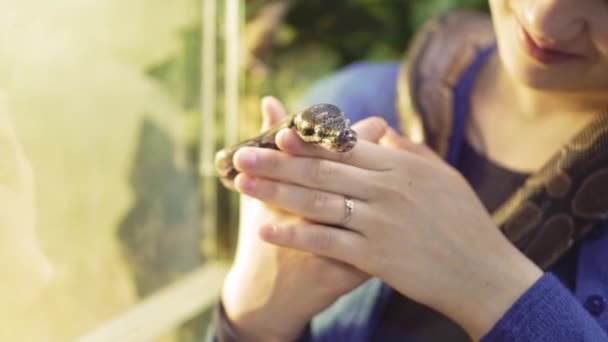 Příroda dívka drží had v zoo těší výlet do přírody svatyně student baví učení o plazech 4k — Stock video