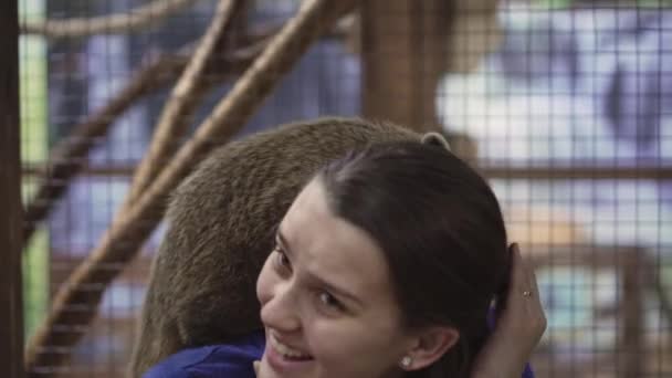 Coati se sienta sobre los hombros de una linda chica y se mete la nariz en el pelo . — Vídeos de Stock