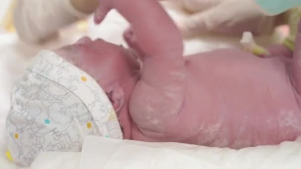 Detailní portrét novorozence s pláčem v prapůvodním lubrikantu, jehož ženské ruce s lékařskými rukavicemi jsou vyšetřeny. Novorozeně narozené dítě po narození pláče první minuty života. — Stock video