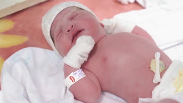Κοντινό πλάνο πορτρέτο ενός νεογέννητου μωρού που κλαίει σε ένα αρχέγονο λιπαντικό του οποίου τα θηλυκά χέρια με ιατρικά γάντια εξετάζονται. Μωρό νεογέννητο μετά τη γέννηση κλαίει τα πρώτα λεπτά της ζωής. — Αρχείο Βίντεο