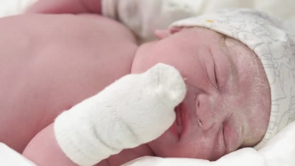 Zblízka portrét plačícího novorozence v pravěkém tuku. Novorozeně narozené dítě po narození pláče první minuty života. — Stock video