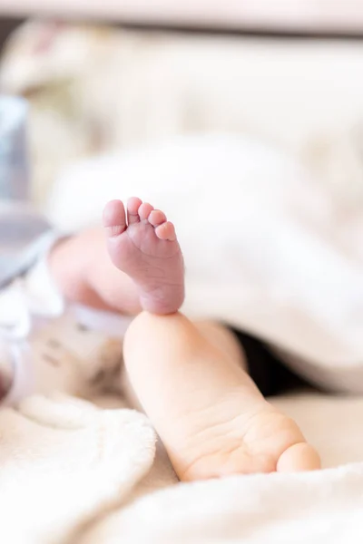 Yeni doğmuş bir bebeğin ayağına ve bir yaşındaki bir bebeğe yakın çekim. Farklı yaşlardaki bebeklerin ayakları uyuyor. Yeni doğmuş bir bebeğin ayağı, başka bir çocuğun ayağı üzerinde.. — Stok fotoğraf