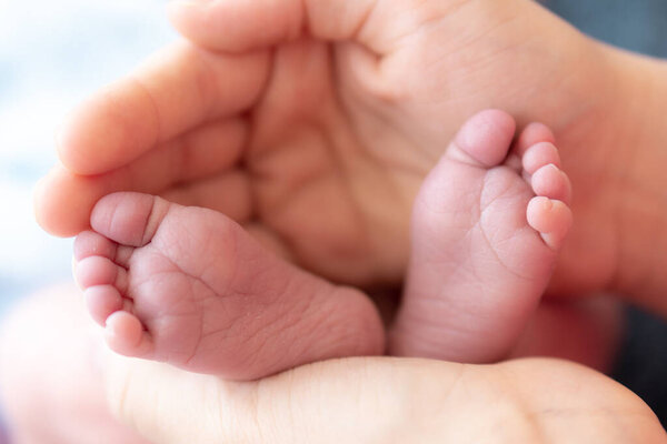 Feet of a newborn baby in moms palms close. Close up of female hands holding the feet of a newborn baby. Feet of a newborn sleeping baby close up, place for text.