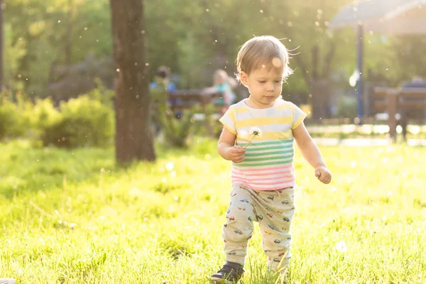 Infância, natureza, verão, parques e conceito ao ar livre - retrato de menino loiro bonito de cabelos listrados em camiseta multicolorida com dente de leão na luz de fundo do pôr do sol no parque. Espaço de cópia . — Fotografia de Stock