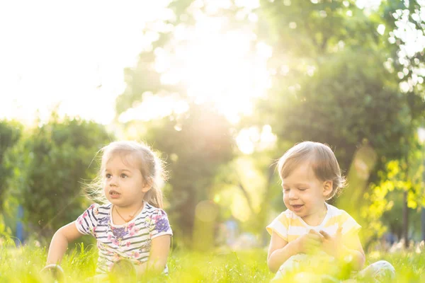 Concepto de infancia, verano y ocio: dos bebés felices y lindos de gemelos irlandeses niño y niña sentados en hierba brillante con dientes de león en la luz de fondo de una puesta de sol en el parque . — Foto de Stock