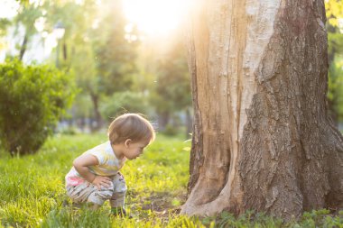 Çocukluk, doğa, yaz, parklar ve açık hava konsepti. Çizgili, sarı saçlı, küçük bir çocuğun portresi. Parkta gün batımında yaşlı bir ağacın gövdesinin yanında. Boşluğu kopyala.