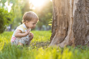 Çocukluk, doğa, yaz, parklar ve açık hava konsepti. Çizgili, sarı saçlı, küçük bir çocuğun portresi. Parkta gün batımında yaşlı bir ağacın gövdesinin yanında. Boşluğu kopyala.