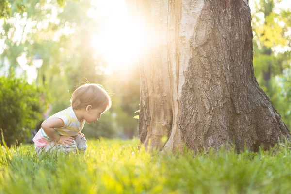 Jeugd, natuur, zomer, parken en buitenleven concept - portret van schattige blonde-harige kleine jongen in gestreepte multi-gekleurde T-shirt in de buurt van de kofferbak van een oude boom in de achtergrond van zonsondergang in het park. Kopieerruimte. — Stockfoto