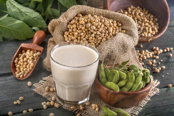 Sojabönor och sojamjölk — Stockfoto
