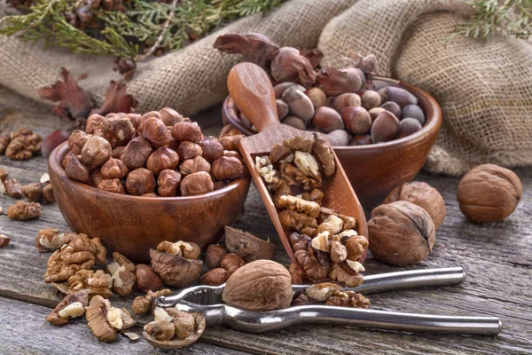 Hazelnuts and walnuts — Stock Photo, Image