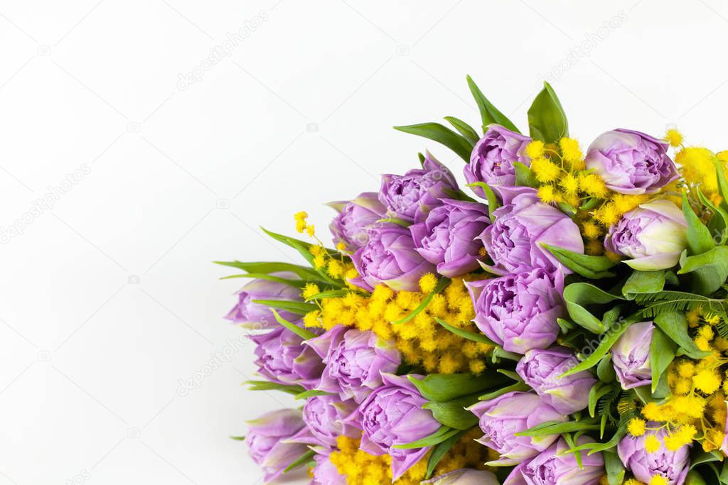 Bouquet of lilac tulips and yellow mimosas on white background, copy space, side view, closeup. March 8, February 14, birthday, Valentines, Mothers, Womens day celebration, spring concept
