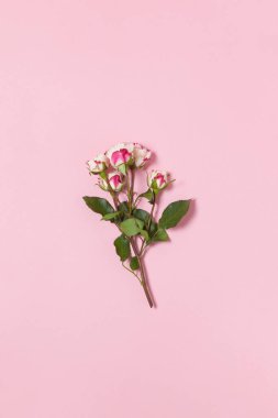 Pembe arka planda beyaz ve kırmızı güllerin karışımı, kopyalama alanı. Minimal stil düz. Tebrik kartı için davetiye. 8 Mart, 14 Şubat, doğum günü, sevgililer günü, anneler günü konsepti.
