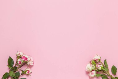 Pembe arka planda beyaz ve kırmızı güller, kopyalama alanı. Minimal stil düz. Tebrik kartı için davetiye. 8 Mart, 14 Şubat, doğum günü, sevgililer günü, anneler günü konsepti.