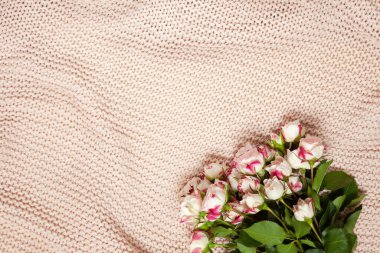 Tozlu pembe battaniyede bir buket küçük gül. Düz yatıyordu. Üst Manzara. Yatay, kopyalama uzayı. 8 Mart, 14 Şubat, Sevgililer Günü, Anneler Günü, Kadınlar Günü Kutlama Konsepti.