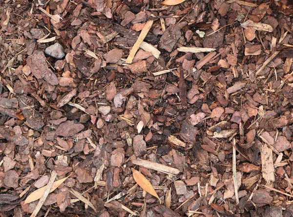 Bark mulch fundo — Fotografia de Stock