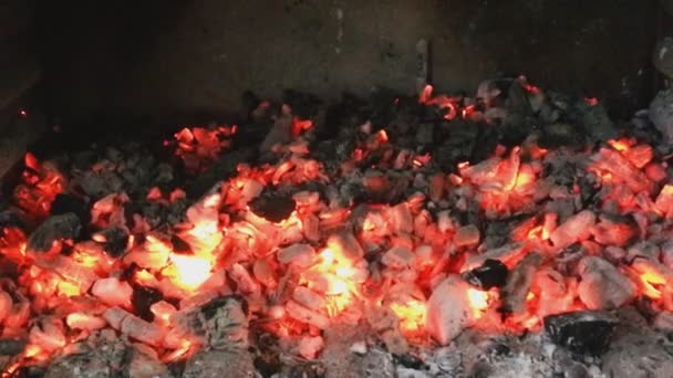 Горение угля в гриле — стоковое видео