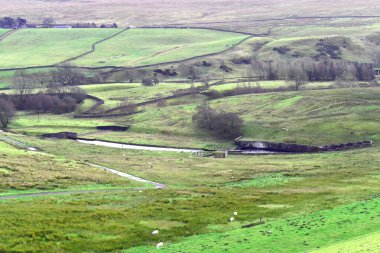 Romaldkirk 'ten Yorkshire Dales izlendi. Yeşil tarlalarla, kuru taş duvarlarla ünlüdür..