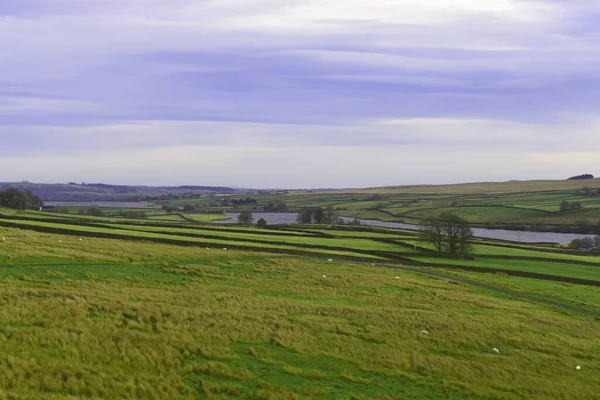 Romaldkirk Ten Yorkshire Dales Izlendi Yeşil Tarlalarla Kuru Taş Duvarlarla — Stok fotoğraf