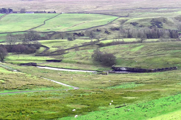 Romaldkirk Ten Yorkshire Dales Izlendi Yeşil Tarlalarla Kuru Taş Duvarlarla — Stok fotoğraf