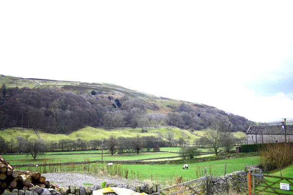 Arkengarthdale Den Görülen Yorkshire Dalları Yeşil Tarım Arazileriyle Çevrilidir — Stok fotoğraf