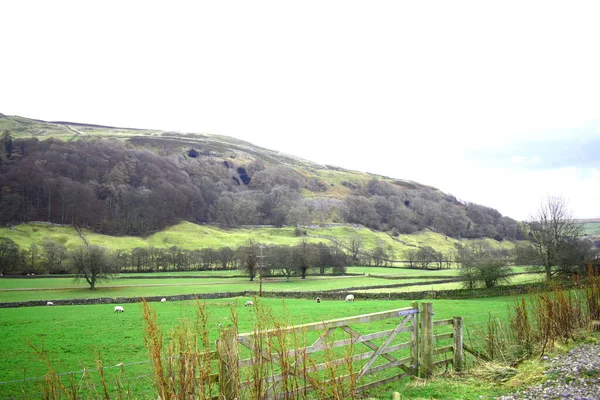 Yorkshire Dales Visto Desde Arkengarthdale Rodeada Campos Verdes Tierras Cultivo — Foto de Stock