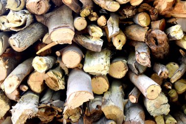 Yakacak odun yığını, kırsal alanda yemek pişirmek için odun hazırlama.