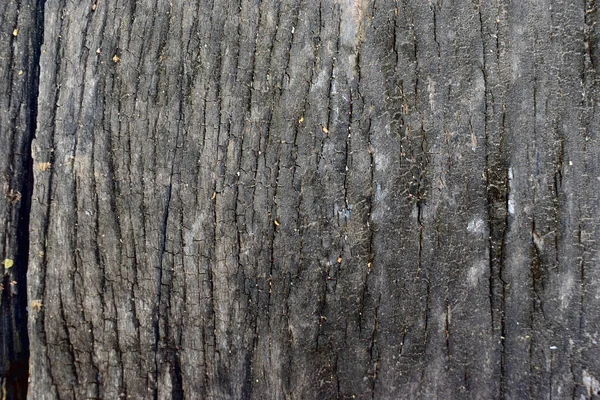 Alte Dunkle Hölzerne Natur Hintergrund — Stockfoto