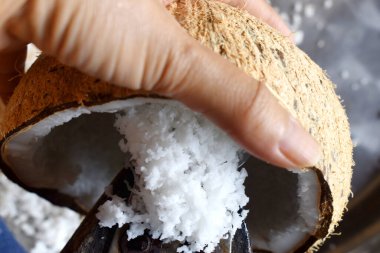 Geleneksel Tayland usulü hindistan cevizi rendeleyici kullanarak hindistan cevizi rendeliyor..