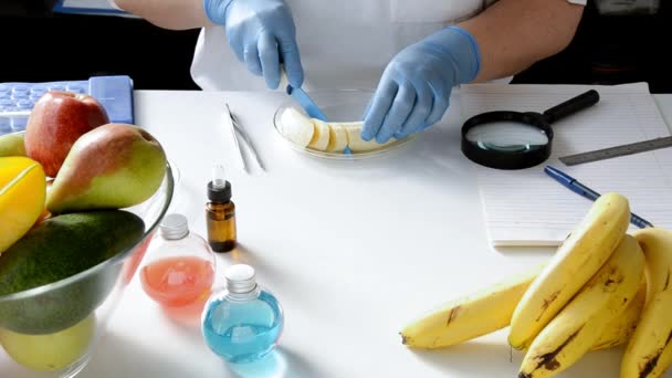 Inspectie van banaan in food lab — Stockvideo