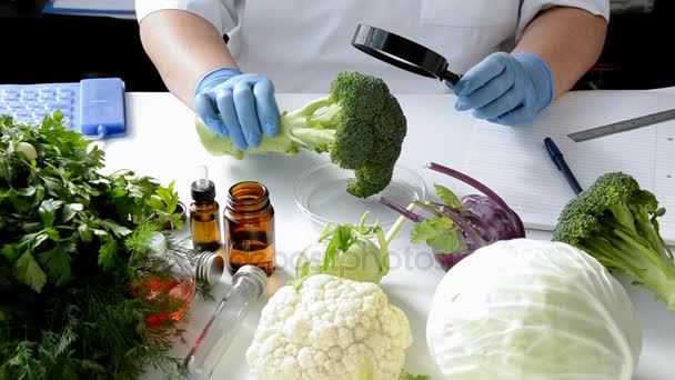 Wstępna kontrola brokuły w laboratorium żywności — Wideo stockowe