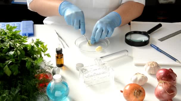 Diente de ajo en el laboratorio de alimentos — Vídeo de stock
