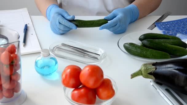 Inspección inicial del pepino en el laboratorio de alimentos — Vídeos de Stock