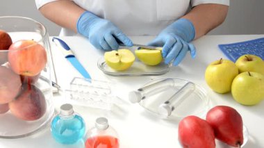 Sarı elma laboratuvarda denetlenir