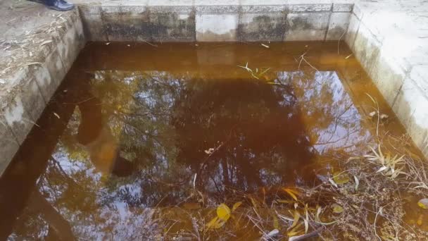 Žena při pohledu na svůj odraz ve špinavé vodě — Stock video