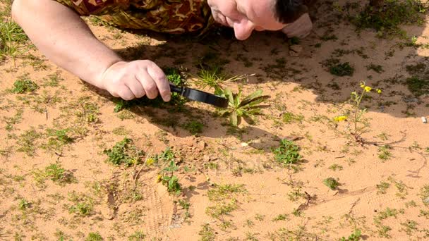 Man undersöker fotavtryck i sanden med förstoringsglas — Stockvideo