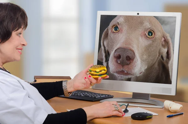 Veterinário de telemedicina dá um hambúrguer para cão no monitor — Fotografia de Stock