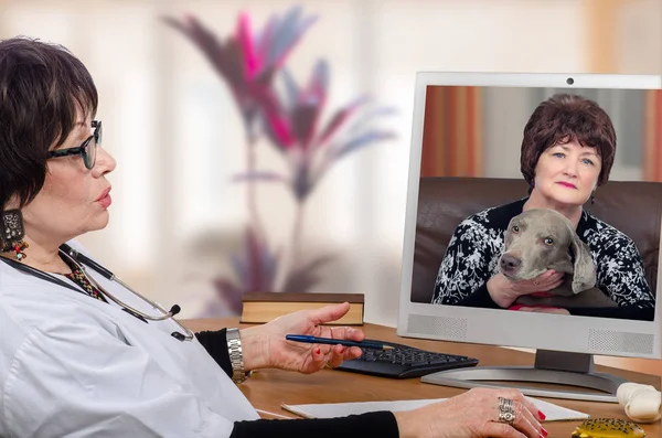 Telemedicine veterinarian provides a diagnosis for dog — Stock Photo, Image