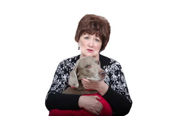 Сором'язлива старша жінка тримає хворого собаку на руках — стокове фото