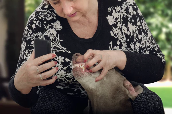 Older woman shooting dog teeth for veterinarian — Stock Photo, Image