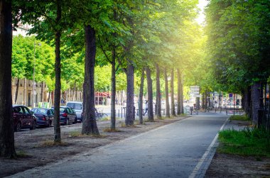 Paris'te uzun ağaçlar çevrili kaldırım