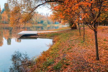 Renkli sonbahar parkı. Sonbahar parkında yaprakları sarı olan sonbahar ağaçları. Belgorod. Rusya.