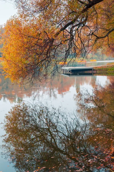 Färgglad höstpark. Höstträd med gula blad i höstparken. Det är Belgorod. Ryssland. — Stockfoto