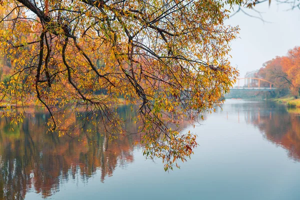 Bunter Herbstpark. Herbstbäume mit gelben Blättern im Herbstpark. Belgorod. Russland. — Stockfoto