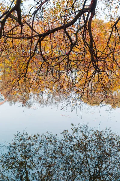 Colorido parque de otoño. Árboles de otoño con hojas amarillas en el parque de otoño. Belgorod. Rusia . — Foto de Stock